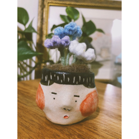 不拔毛時代 迷你頭盆