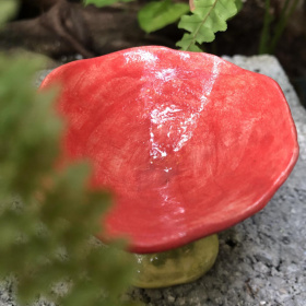 《不拔毛時代》花皿