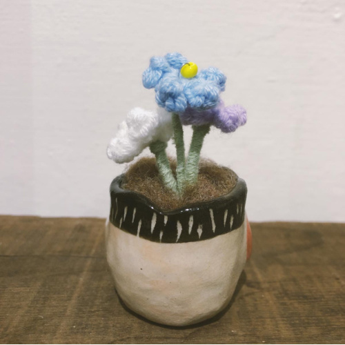 不拔毛時代 - 迷你頭盆