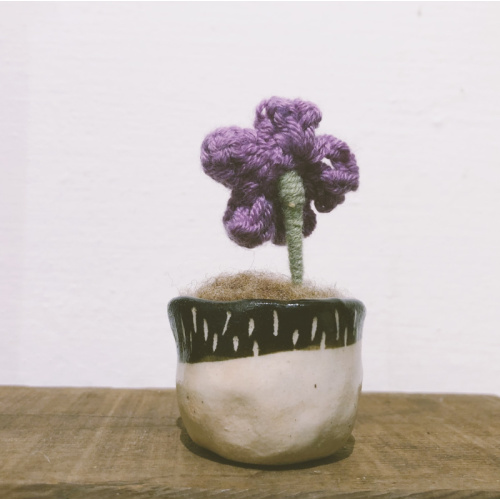 不拔毛時代 - 迷你頭盆