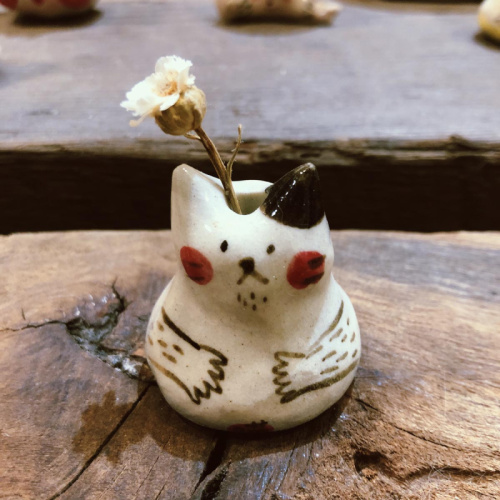 《不拔毛星球》鬍子貓