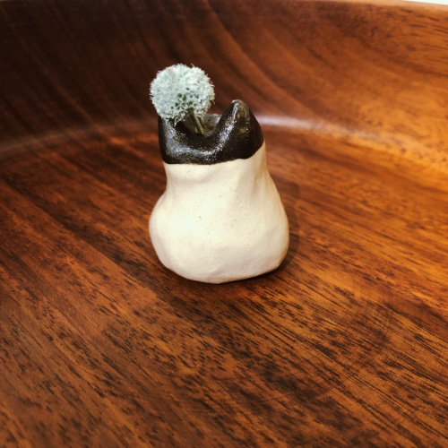 《不拔毛星球》蒙面俠