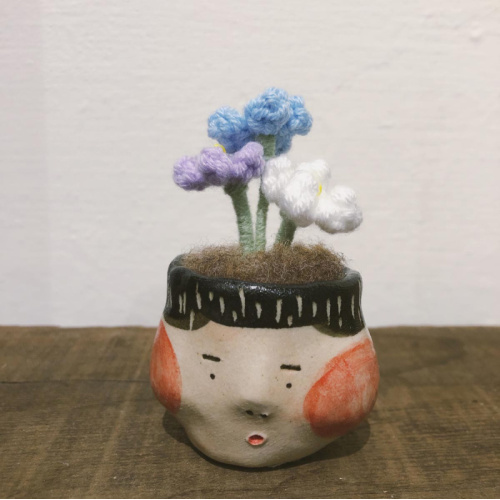 不拔毛時代 - 迷你頭盆