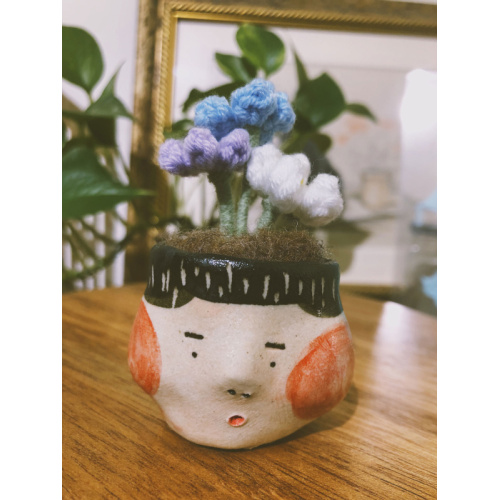 不拔毛時代 迷你頭盆