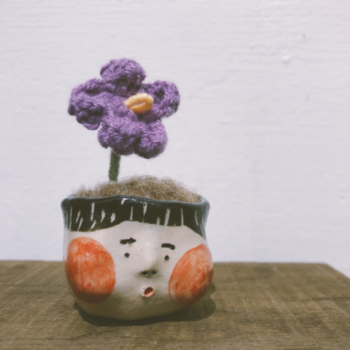 不拔毛時代 - 迷你頭盆