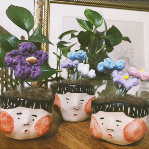 不拔毛時代 迷你頭盆