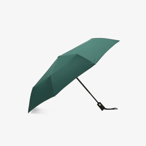 DECUS 雨傘 綠色
