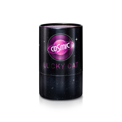 電鍍粉幸運招財貓