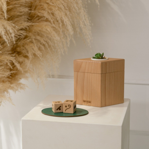 生苼 - 植念骰子