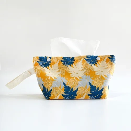 半邊羽裂鳳尾蕨