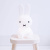 米菲兔家族夜燈（USB版）Miffy