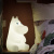 Moomin 嚕嚕米小夜燈 60cm