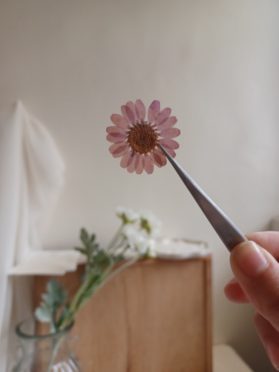 壓花年曆花材