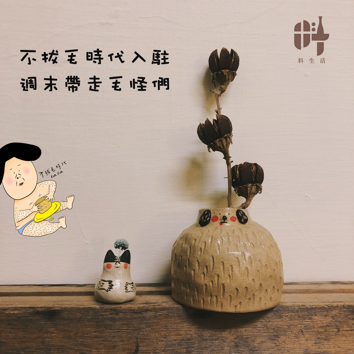 不拔毛時代入駐，週末來帶走毛怪們